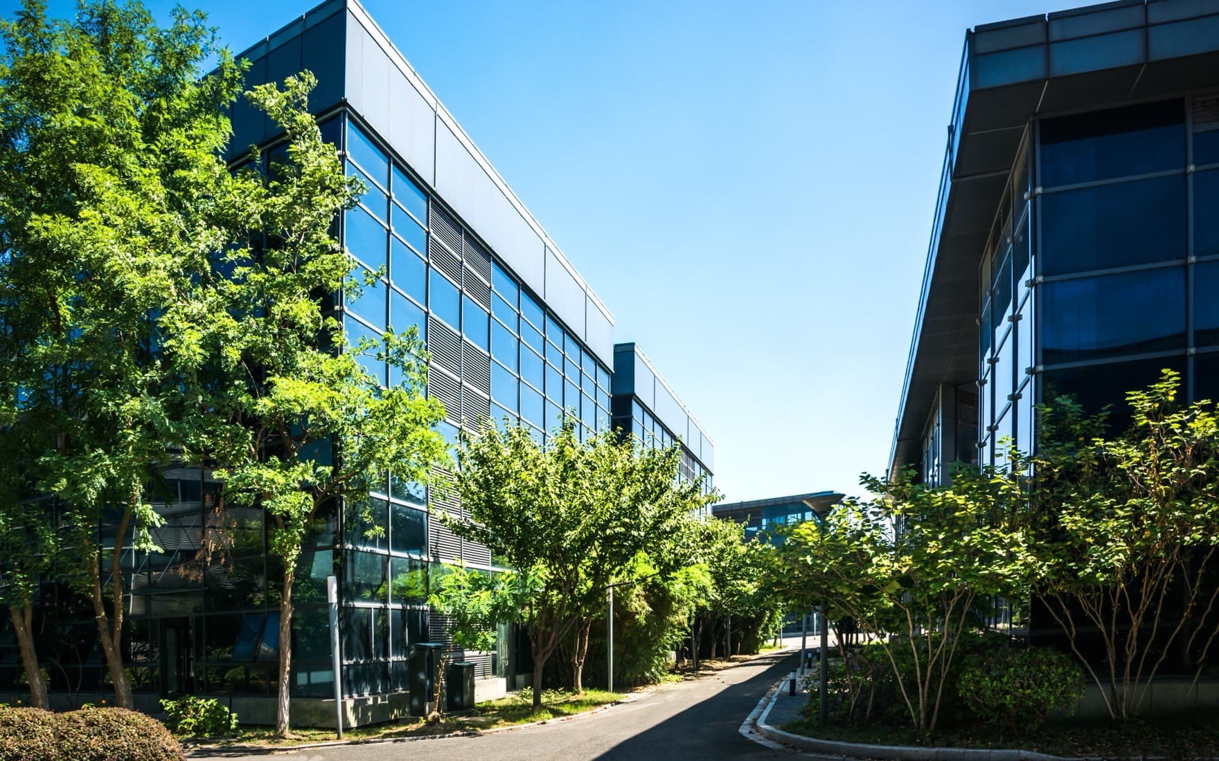 Low-rise commercial office buildings on a landscaped business park